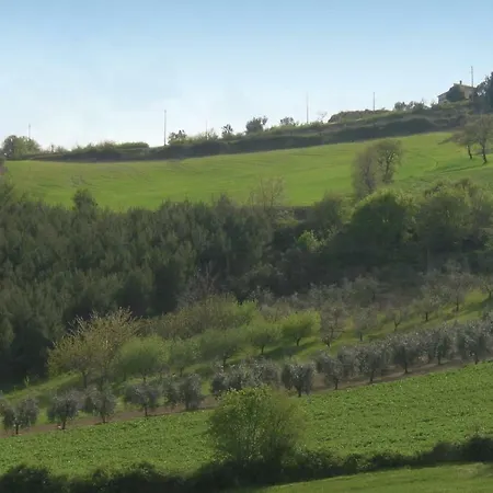 Appartamento Apartment Marsciano